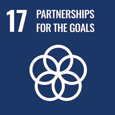 SDG_17.jpg