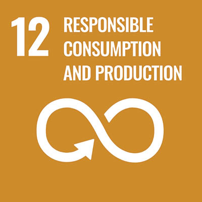 SDG_12.jpg