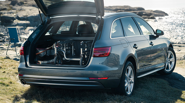 Car at the beach. The trunk is open showing a Carony inside